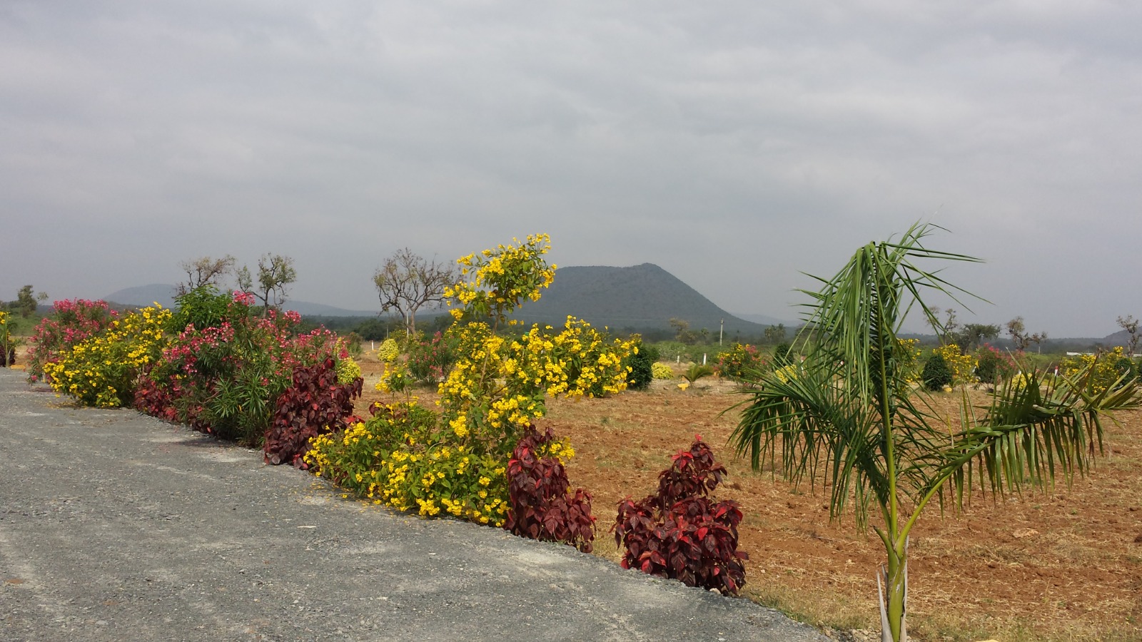 WhatsApp Image 2023-10-21 at 17.31.12_346bf2e6