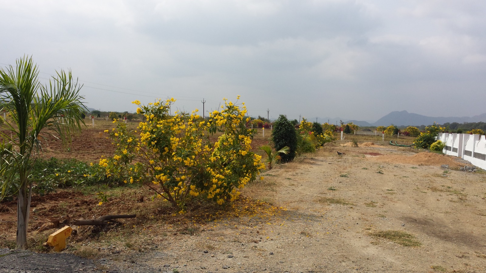 WhatsApp Image 2023-10-21 at 17.31.12_c07dd859