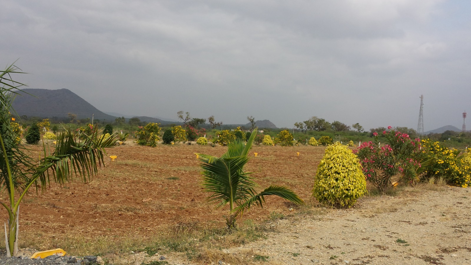 WhatsApp Image 2023-10-21 at 17.31.12_f6c5a24a