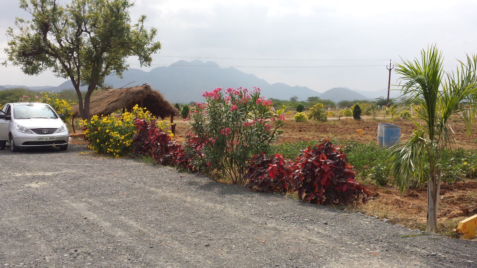 WhatsApp Image 2023-10-21 at 17.31.14_e8b05456