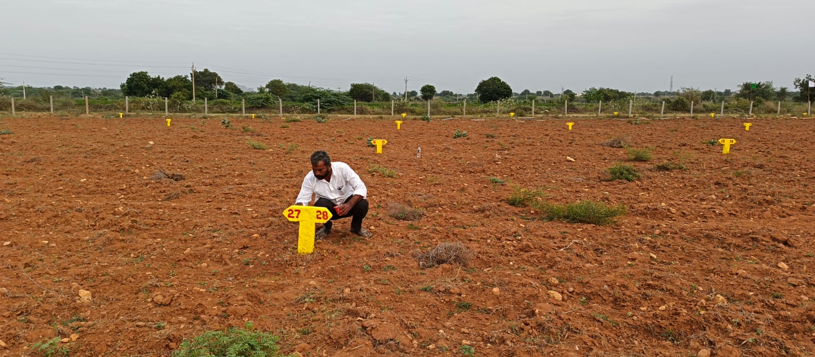 WhatsApp Image 2023-12-04 at 11.41.01 AM