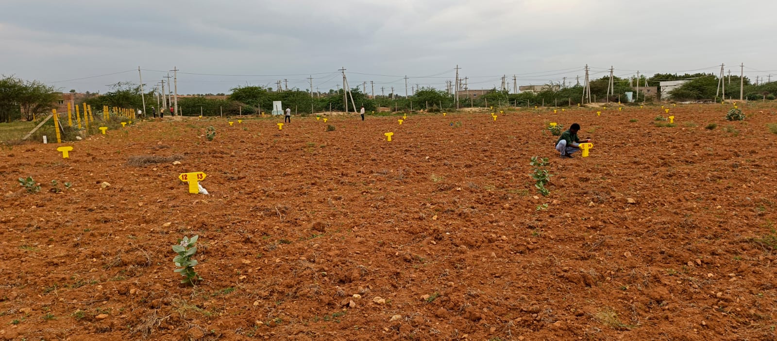 WhatsApp Image 2023-12-04 at 11.50.57 AM