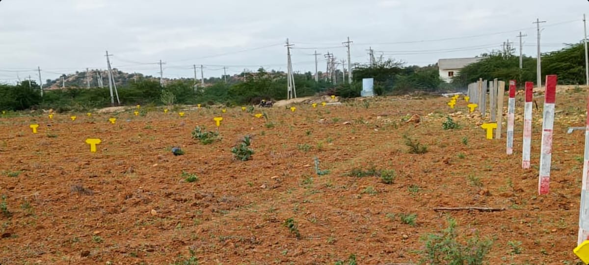 WhatsApp Image 2023-12-04 at 11.51.00 AM