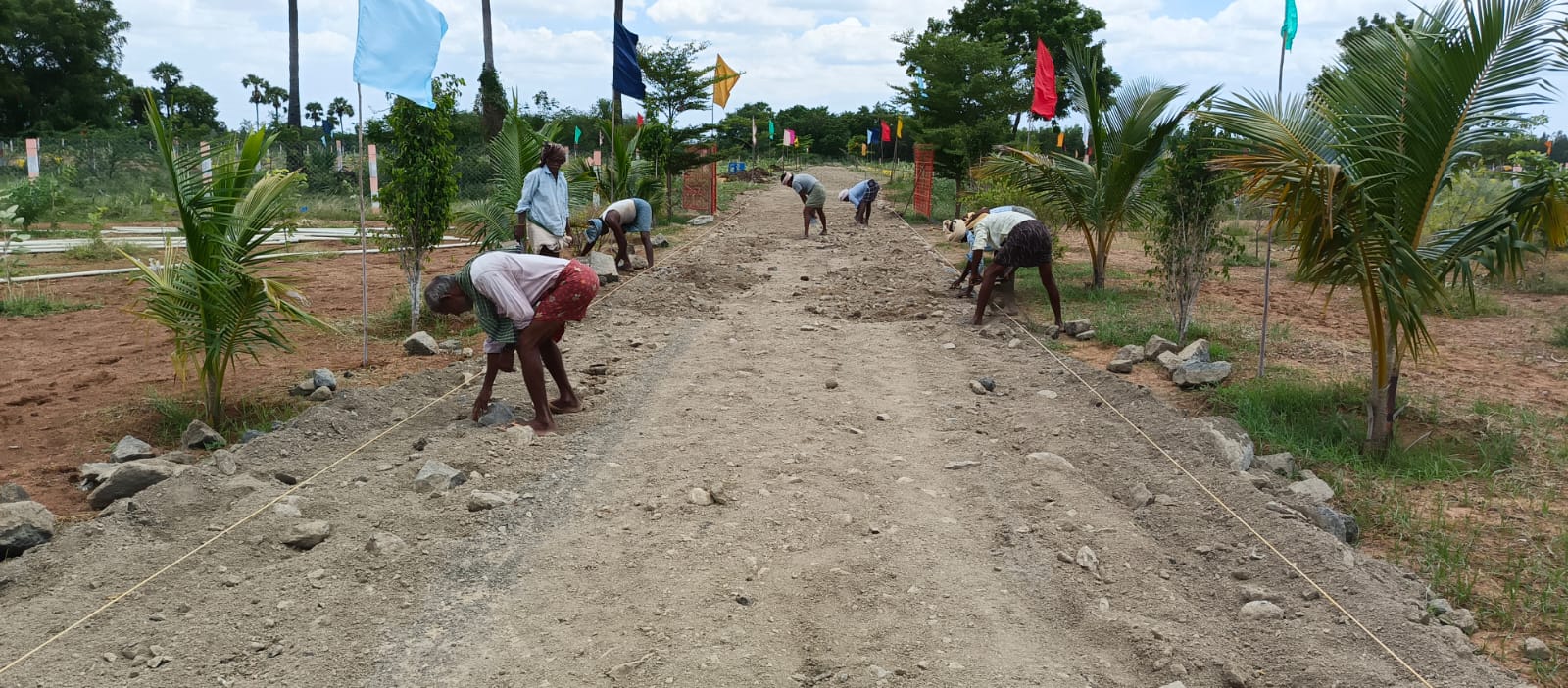 WhatsApp Image 2024-01-03 at 5.06.54 PM