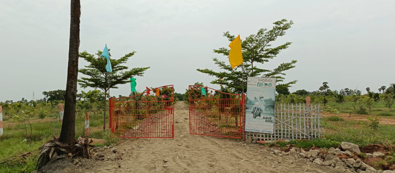 WhatsApp Image 2024-01-03 at 5.06.55 PM (1)