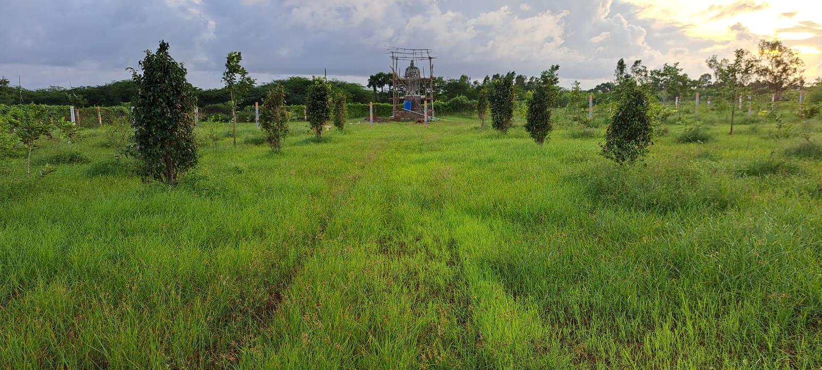 WhatsApp Image 2024-01-03 at 5.08.46 PM