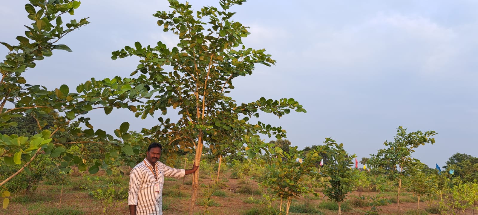 WhatsApp Image 2024-01-03 at 5.08.47 PM (1)