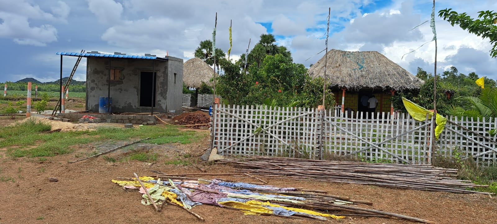 WhatsApp Image 2024-01-03 at 5.08.48 PM (2)