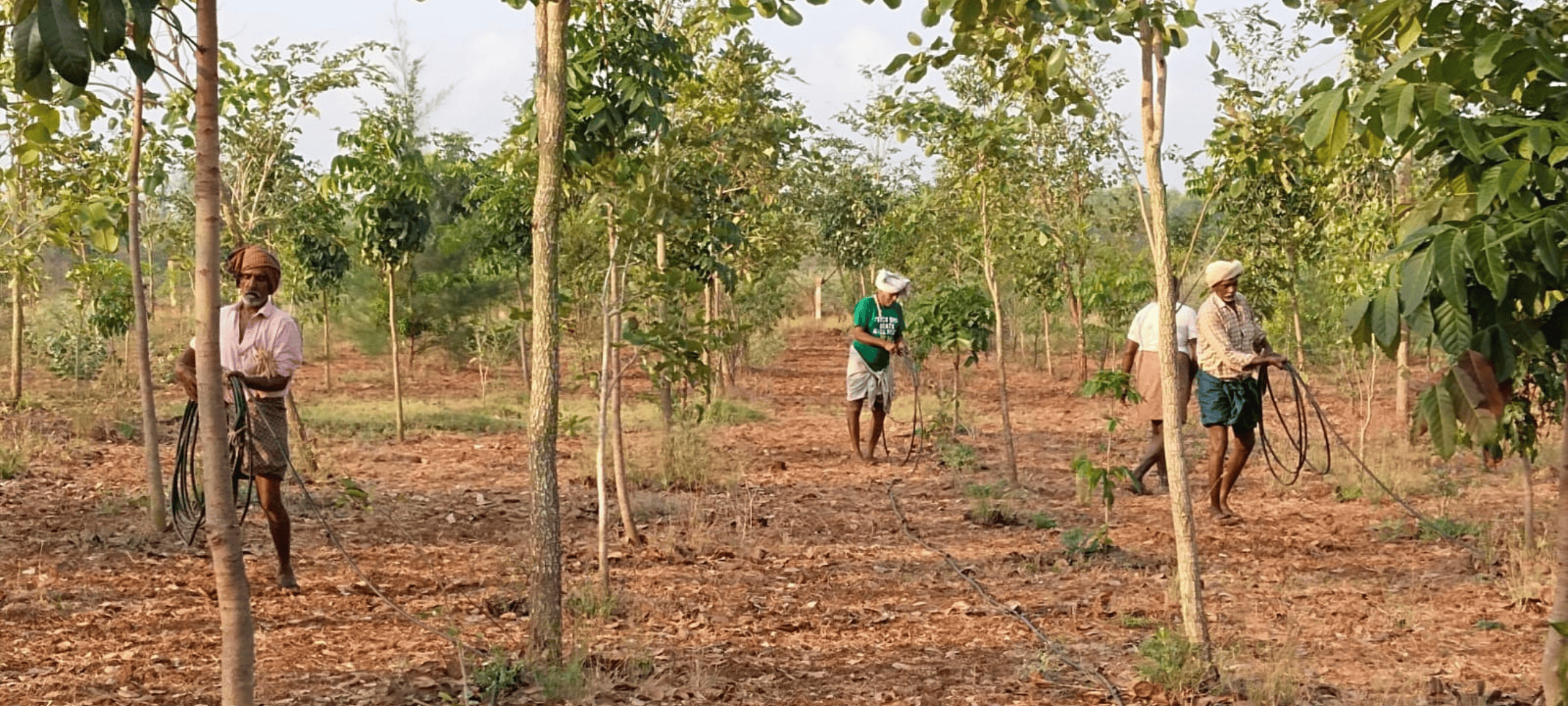 Untitled design (16)