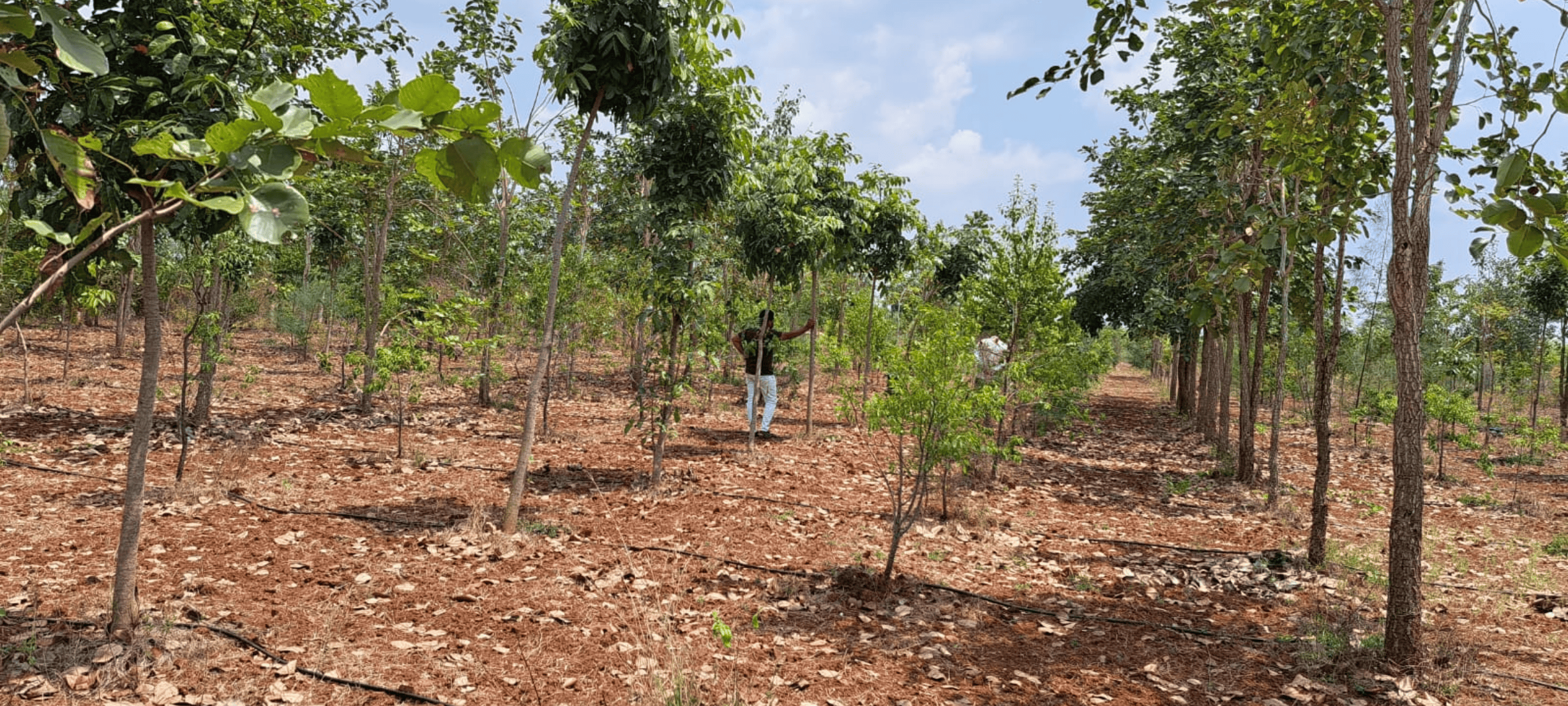 Untitled design (17)